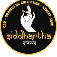 Siddhartha Seeds